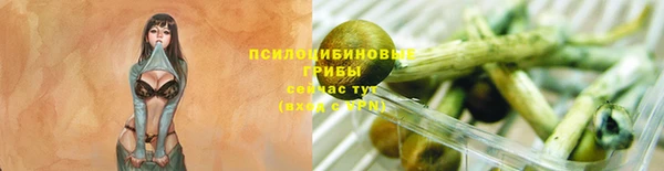 прущие грибы Лиски