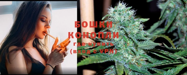 каннабис Майский